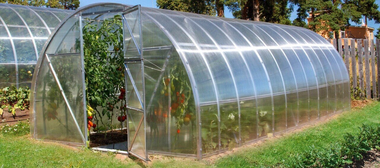 теплица для дачи